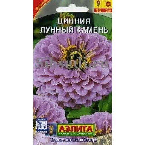 ���� ������ ������ ������, ������ ������ 0,3� ������ ������