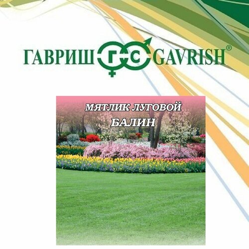 ���� ������ ������ ������� �����, 0,3��, ������ ������ ������