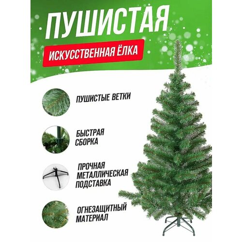 ���� ���� 150 ��, ����������, �������������, ��� ������, ������������, 