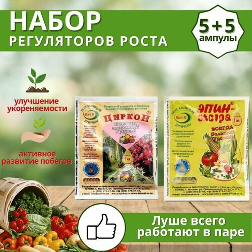 ���� ����� ����������� ����� ������ + ����-������, �������� 10 �� �� 1 �� ������ ������