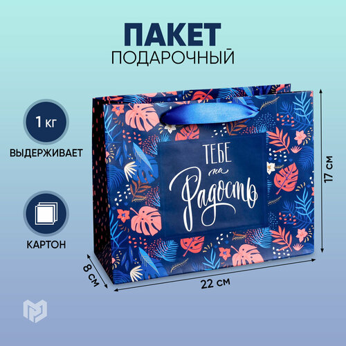 ���� ����� ���������� ������ ������� ���� �� �������, 22 x 17,5 x 8 ��, �������/�����/������ ������ ������