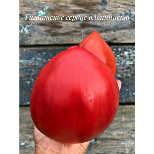 ���� ������������� ������ ������ ���������� ������ ���������� ������ ������