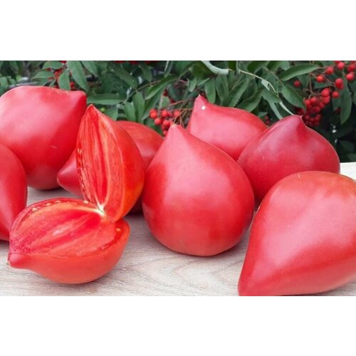 ���� ������������� ������ ������ ����������� �� ���������� ������� � ������� ������ ������