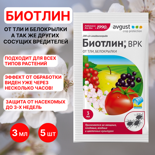 ���� August ������� 3 ��, 5�� ������ ������