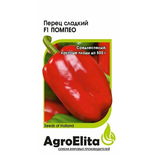      F1, 5, AgroElita, Nunhems   -     , -, 