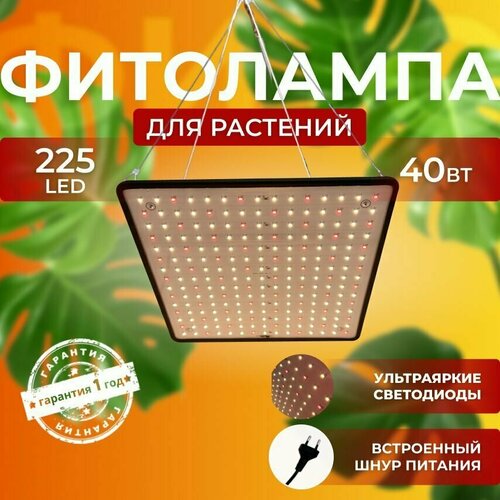 ���� ��������� ��� ����������� �������� ������� ������ ������ �������������� ������������ Quantum board ����� ��������� ��� ������ 225 LED ������ ������