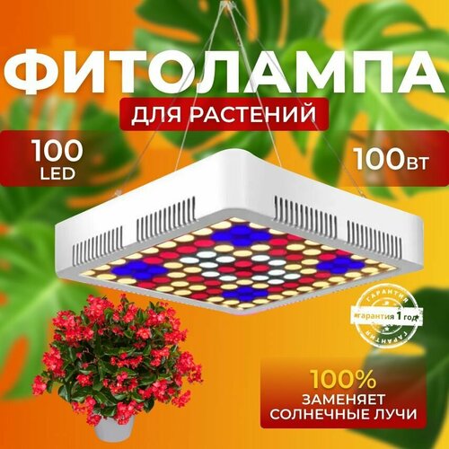          ,       100 LED 100    -     , -, 