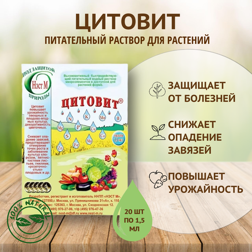 ���� ������� ������ ������