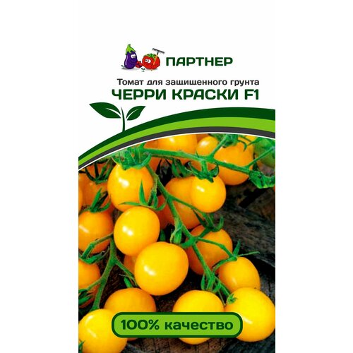 ���� ������ ������ ��������� 