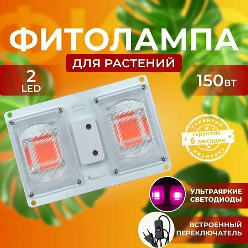 ���� ��������� ��� ����������� �������� ������� ������ ������ �������������� ������������, ����� ��������� ��� ������ � �������� ������ ������