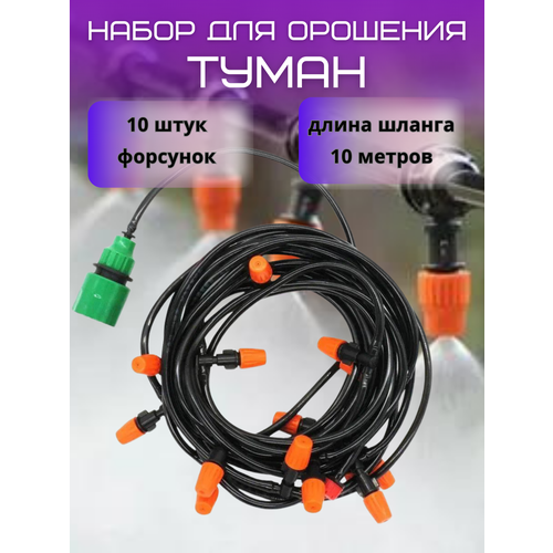 ���� ��������� ����� ��� ������ ��������� ����� ��������������� ������ ������