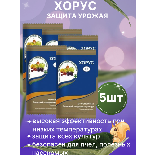 ���� �������� ������ �������� �� �������� ����� 5 �� ������ ������