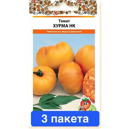 ���� ������ ������ ������� ������ 