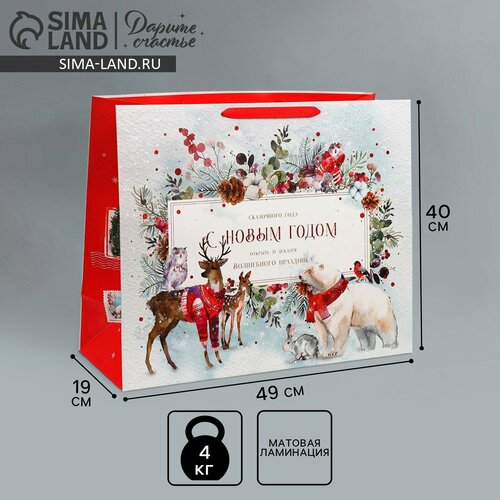 ���� ����� �������������� �������������� �������� ������, XL 49 ? 40 ? 19 �� 1��. ������ ������