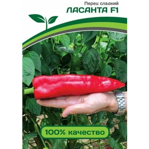 ���� ������������� ������ ����� �������� ������� F1 ������ ������