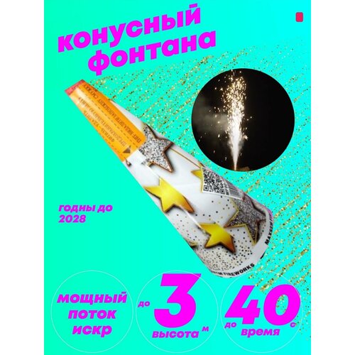 ���� �� ����� ��� 2024 �������� 4�� ������ ������