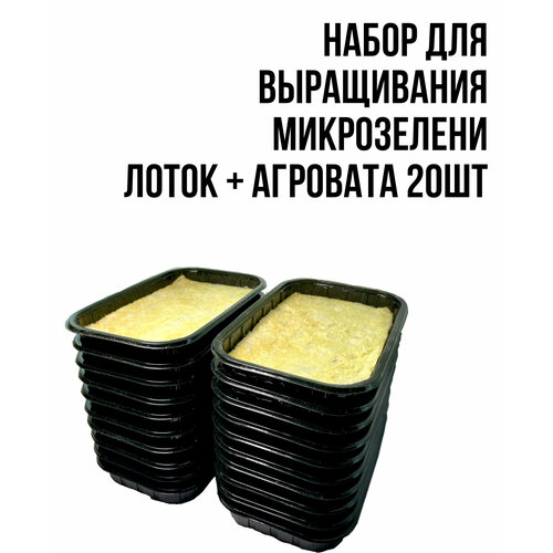 ���� ����� ��� ����������� ���������� (��������+�����) 20�� ������ ������