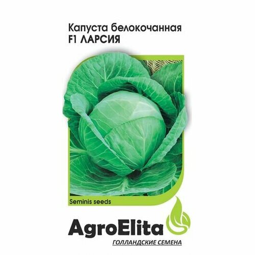 ���� ������ ������� ������������ ������ F1 10�� (���������) ��������� ������� ������ ������