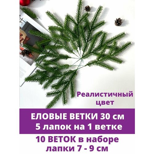 ���� ������ ����� �������������, ����� ������, ��������������, 30 ��, ����� 10 ����� ������ ������