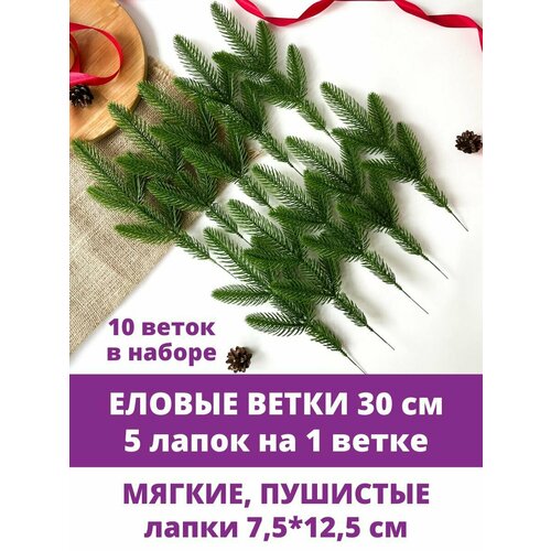 ���� ������ ����� �������������, ����� ������, ��������������, 5 ����� �� ����� 30 ��, ����� 10 �����. ������� ������ ������