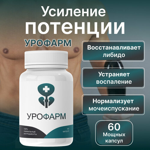 ���� ������� ������� �������� ��� ������ ������� ��� ����������� ������� ������ ������