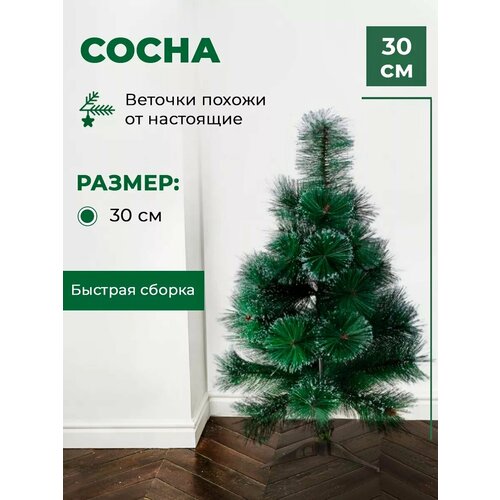 ���� ���� ������������� � ������� � �����, 30 �� ������ ������