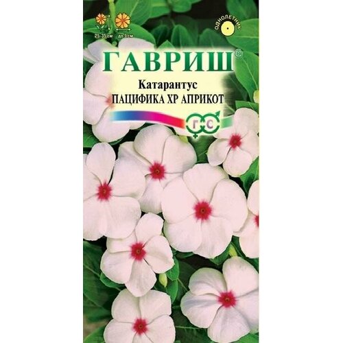 ���� ������ ���������� �������� ������� 5�� (������) ������� ������ ������ ������