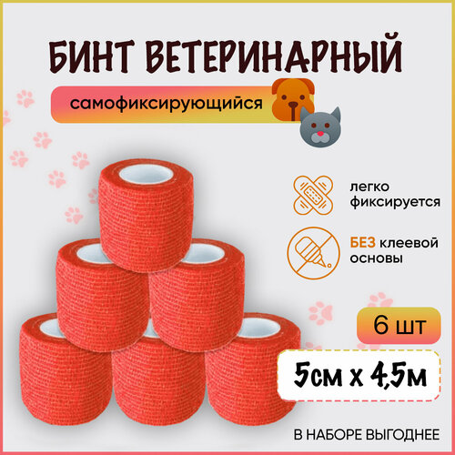 ���� ���� ���������� ���������� ����������������� / ��������� ����� ��� ����, ��� ���������, ����������, ��� ��������, 5 �� � 4,5 �, �������, ����� 6 �� ������ ������