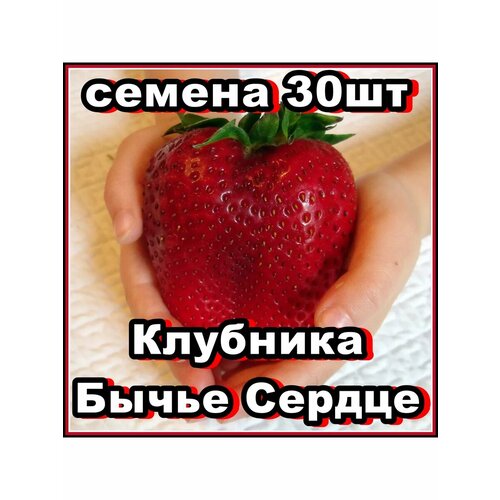 ���� ������ �������� ����� ������ 30�� ������ ������