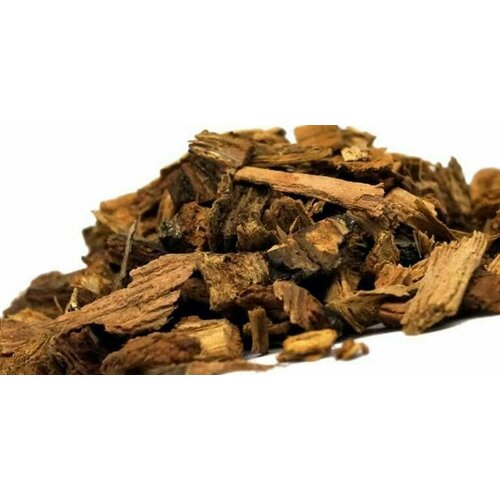 ���� ���� ���� 500�� ������ ������