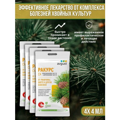 ���� �������� �� �������� ������� ��������, ��������� ��� ������ � �����, ��������� ������ 4 �� 4 �� ������ ������