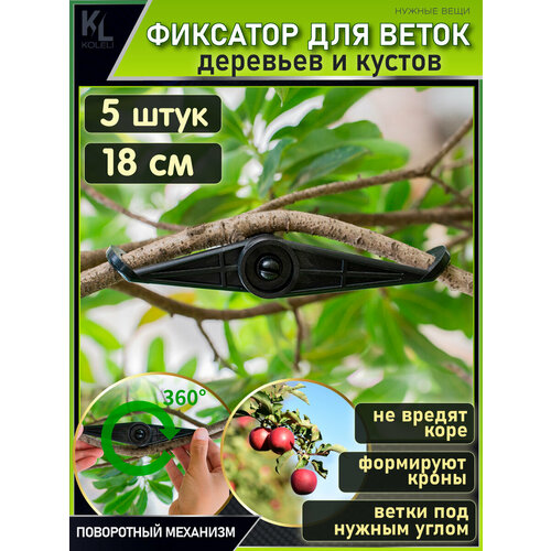 ���� KoLeli / ���������� ��������� ��� ����� / �������� ��� ��������, ������������� ����� � ������, ������ / 5 �� ������ ������