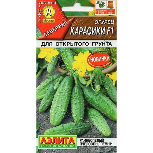 ���� ������ ������ ��������� 