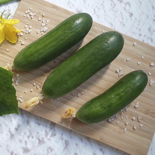 ���� ������ ������ ������������� ����� F1 5 �� ������ ������