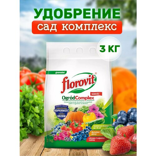 ���� ��������� ������������� ��������������� ��� �������� 3 �� ������ ������