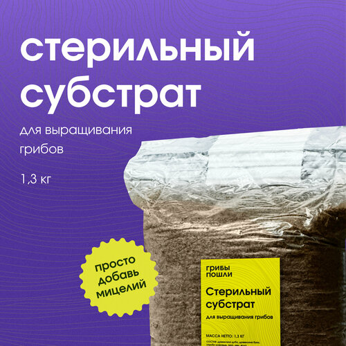 ���� �������� ��� ����������� ������. ���������� ������ ������