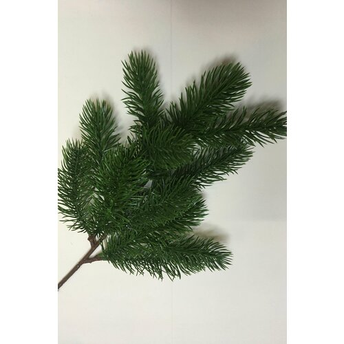 ���� ����� ��� ������������� 36��, �������� 2�� ���������� ������ ������