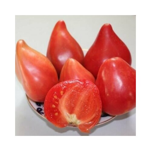 ���� ������������� ������ ������ ��������� ��������� ������ ������ ������