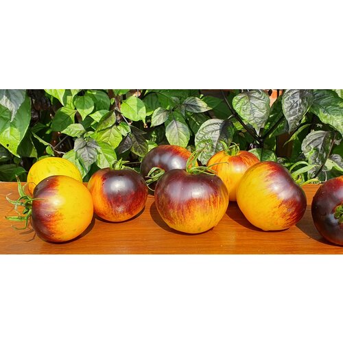 ���� ������ ������ ����������� ���� (Ussuri Tiger) / Seeds And Goods / � �������� zip-lock ��� ���������� 10 ����� ������ ������