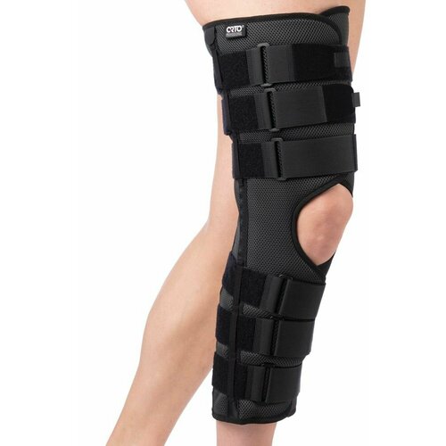 ���� ������ �� �������� ������ SKN-241 ������ ������