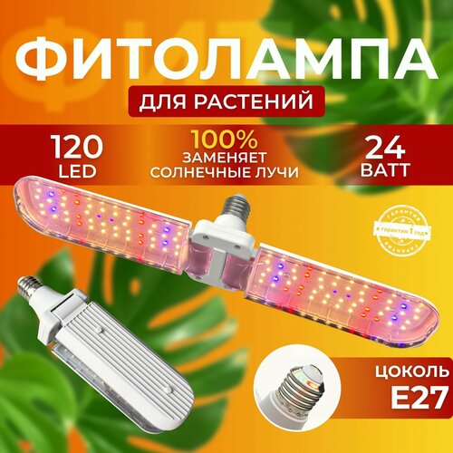            ,   120 LED 24    -     , -, 