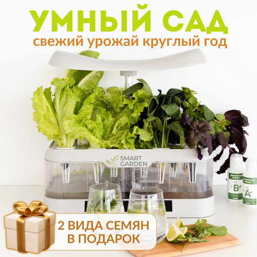 ���� ���������� ������� �����, �������� ����� ���, Aqua Maxi, ����� ������ ������