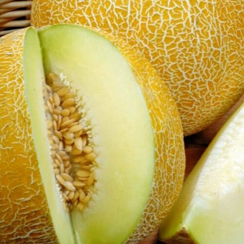 ���� ������������� ������ ���� F1 ������� ������ ������ ������