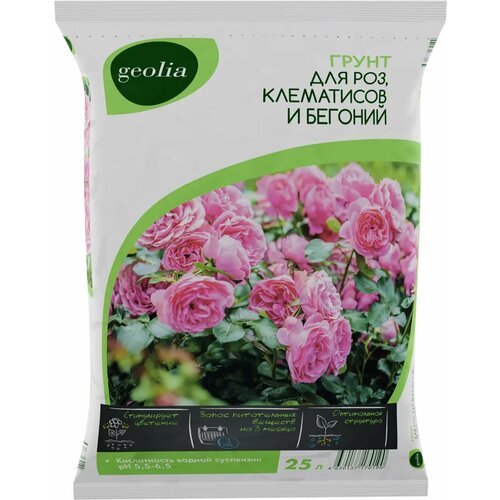 ���� ����� Geolia ��� ��� ���������� � ������� 25 � ������ ������