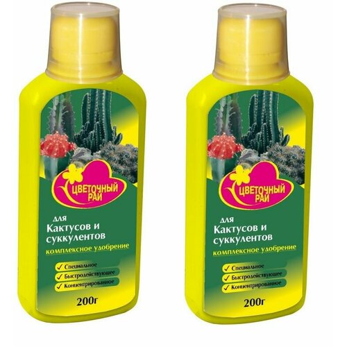 ���� ��������� 