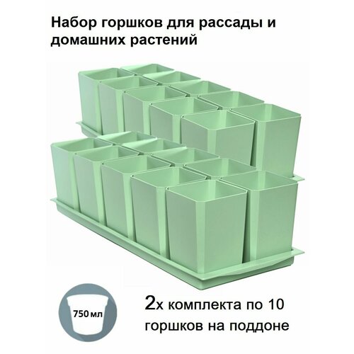 ���� ������ ��� ������� � ������, �������� �� 20 ������� � 2 ����� ��������, ������ ������ ������