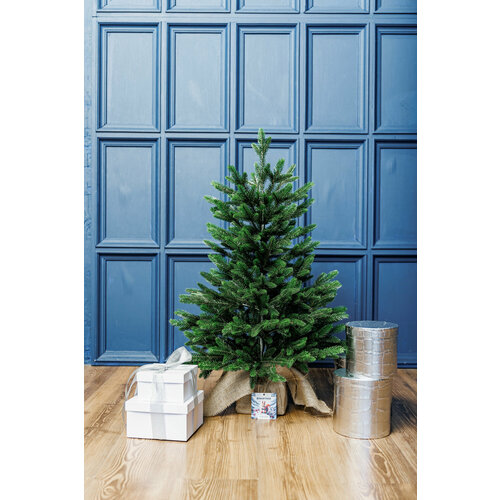 ���� ��� ���������� ��������� �������� ������� �����, ������� �������� 60 ��. ������ ������