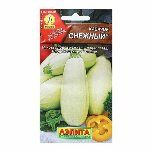 ���� ������ ������� �������� 