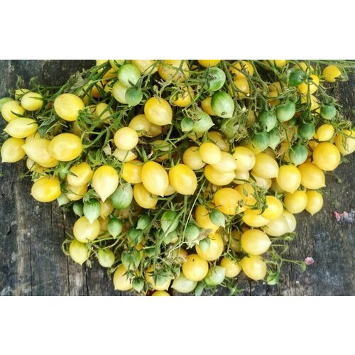 ���� ������������� ������ ������ ���������� ����� ����� ������ ������