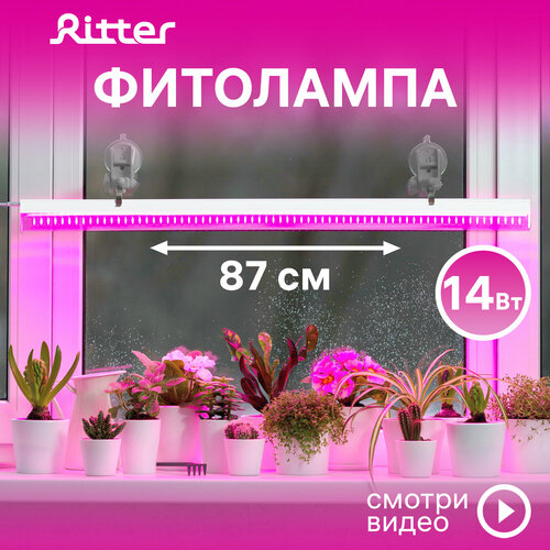 ���� ��������� ������������ ��� �������� �5 Ritter PLANTA, 14��, 880�23�34��, ������ 2�, ����������� �� �������, ���� �����, �������������� ��� ������� ��������, ���������� ��� ��������� ������, 56297 9 ������ ������